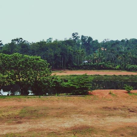 ماديكيري Agastya Lake View Coorg المظهر الخارجي الصورة