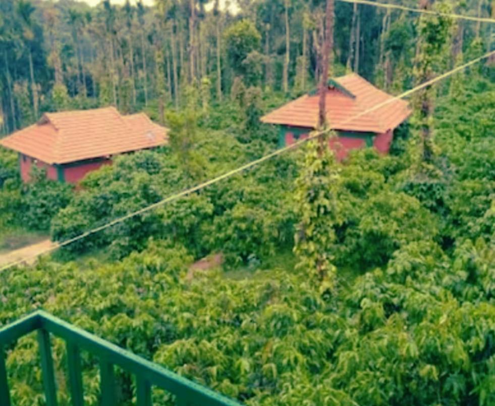 ماديكيري Agastya Lake View Coorg المظهر الخارجي الصورة