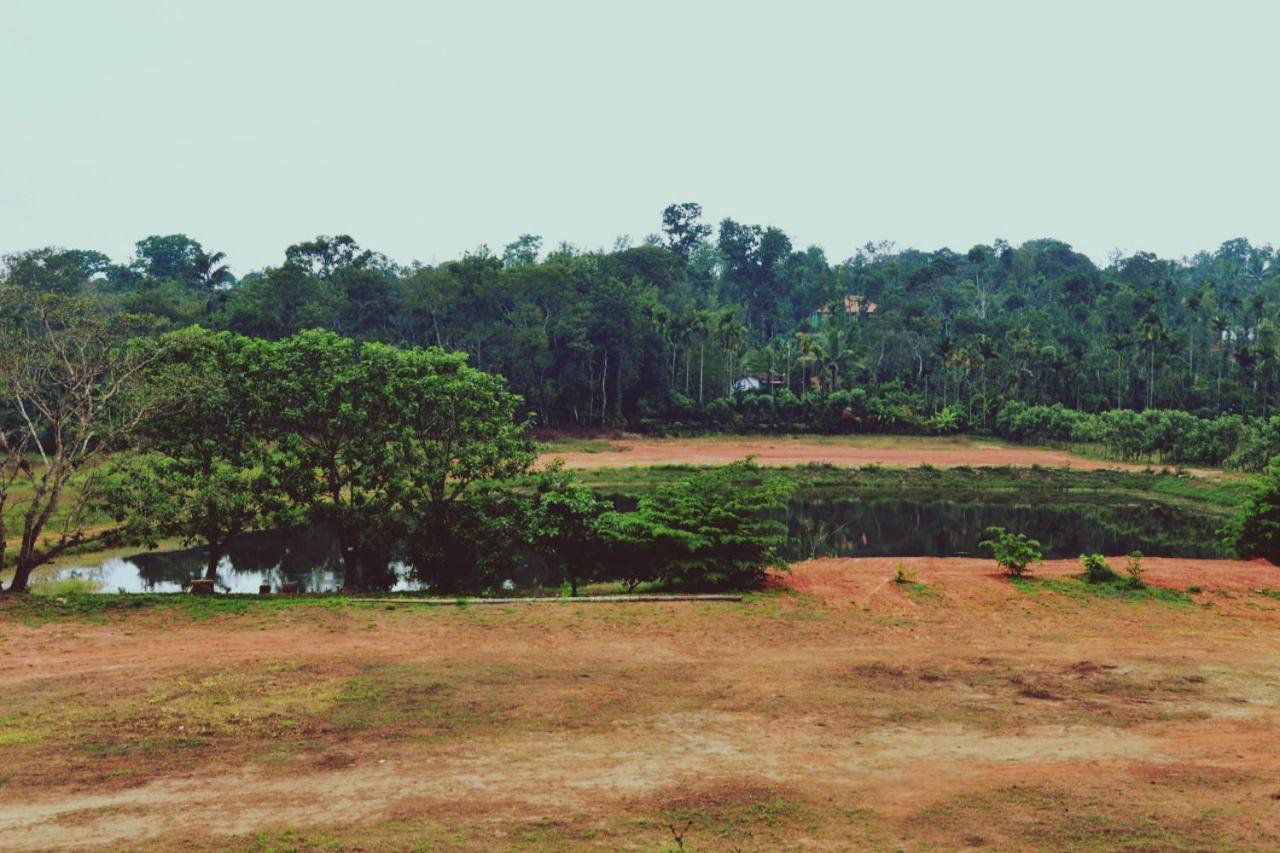 ماديكيري Agastya Lake View Coorg المظهر الخارجي الصورة