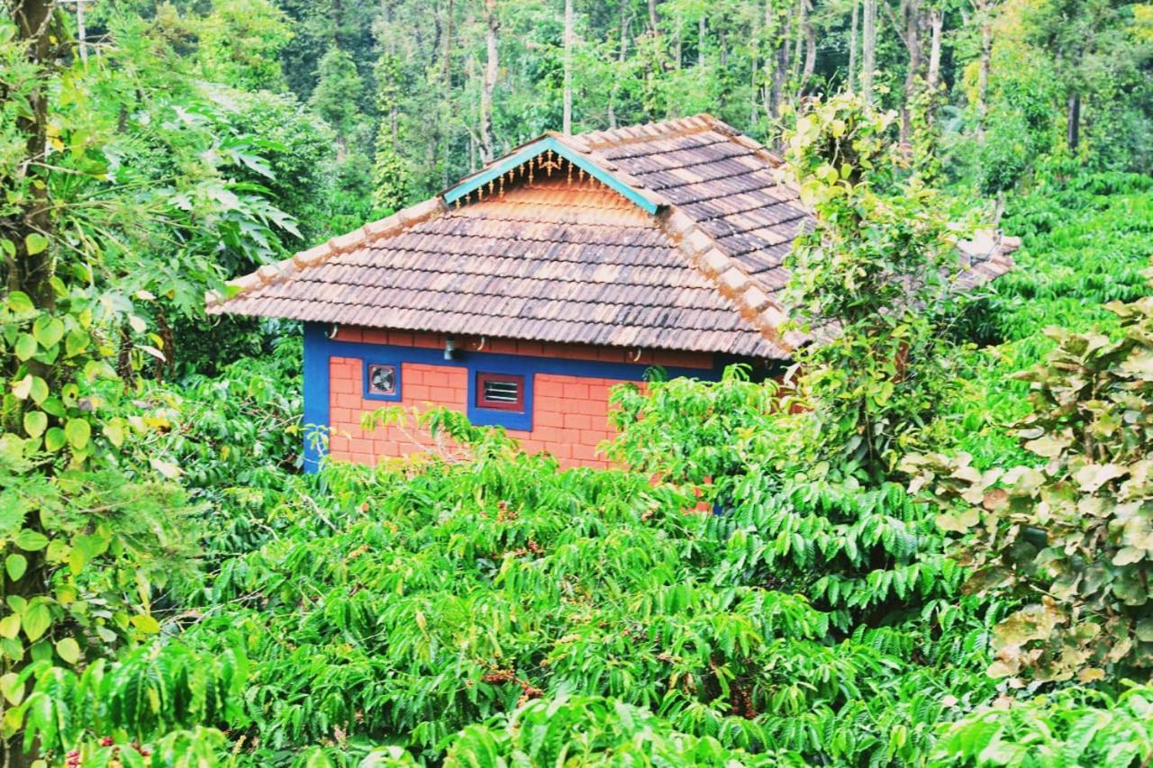 ماديكيري Agastya Lake View Coorg المظهر الخارجي الصورة