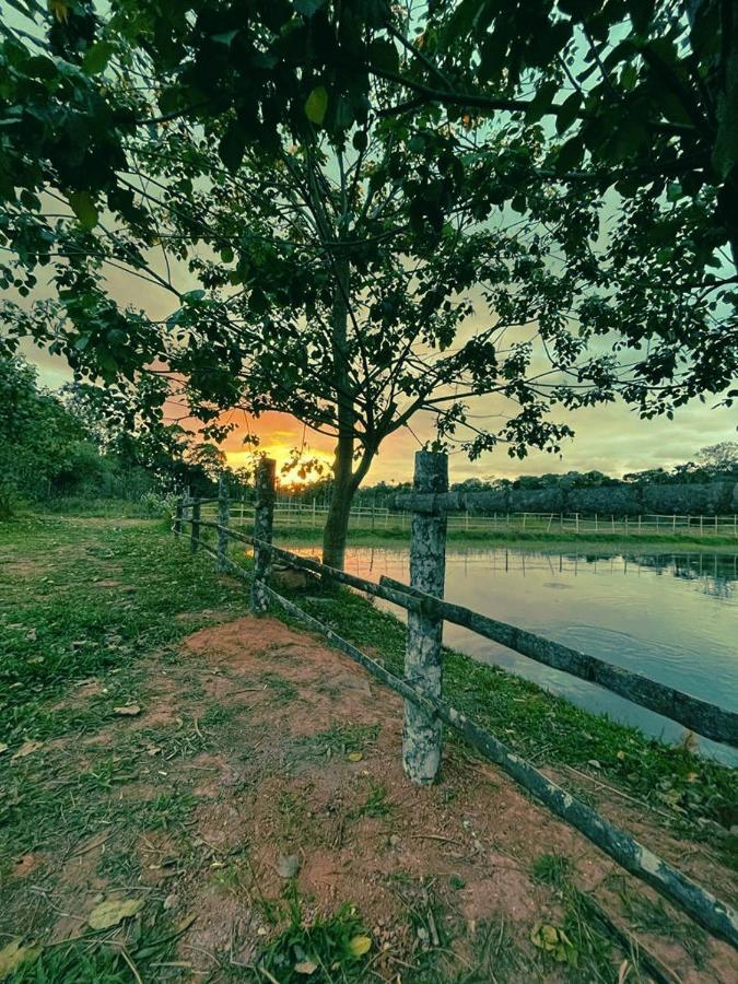 ماديكيري Agastya Lake View Coorg المظهر الخارجي الصورة