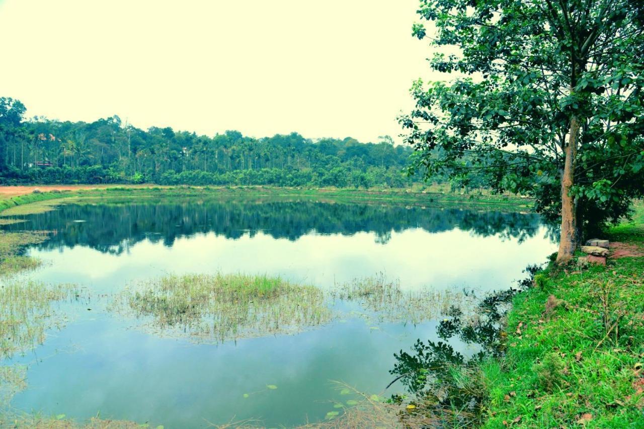 ماديكيري Agastya Lake View Coorg المظهر الخارجي الصورة